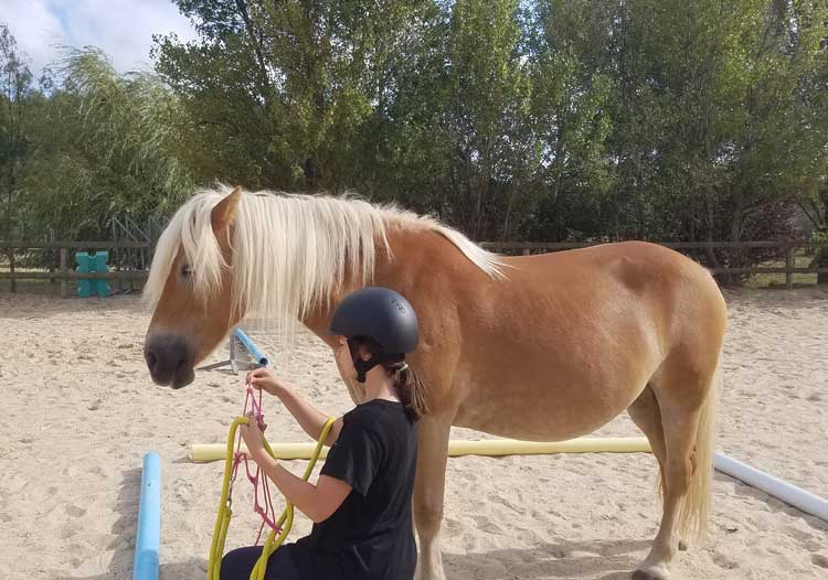 Stages poney et cheval pour vos enfants pendant les vacances de Toussaint