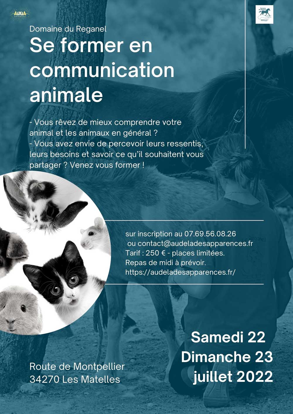 Formation : La Communication Animale